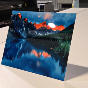 Custom Metal Prints